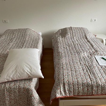 Apartma Sava-Stol ゴレンスカ地方 エクステリア 写真