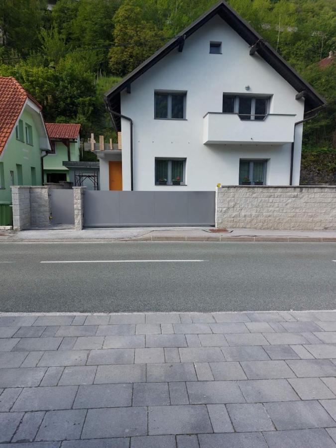 Apartma Sava-Stol ゴレンスカ地方 エクステリア 写真