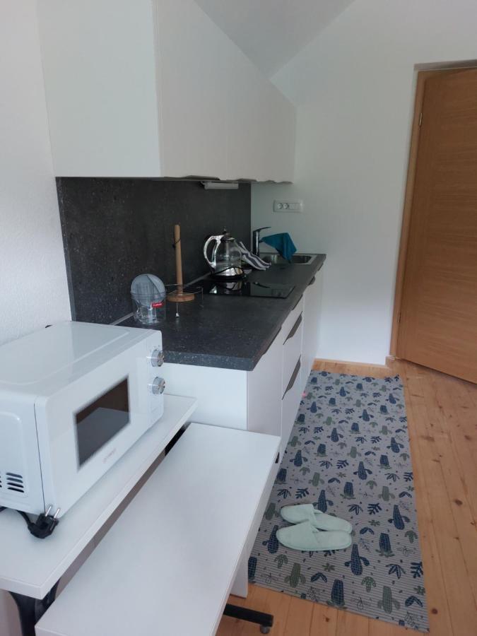 Apartma Sava-Stol ゴレンスカ地方 エクステリア 写真