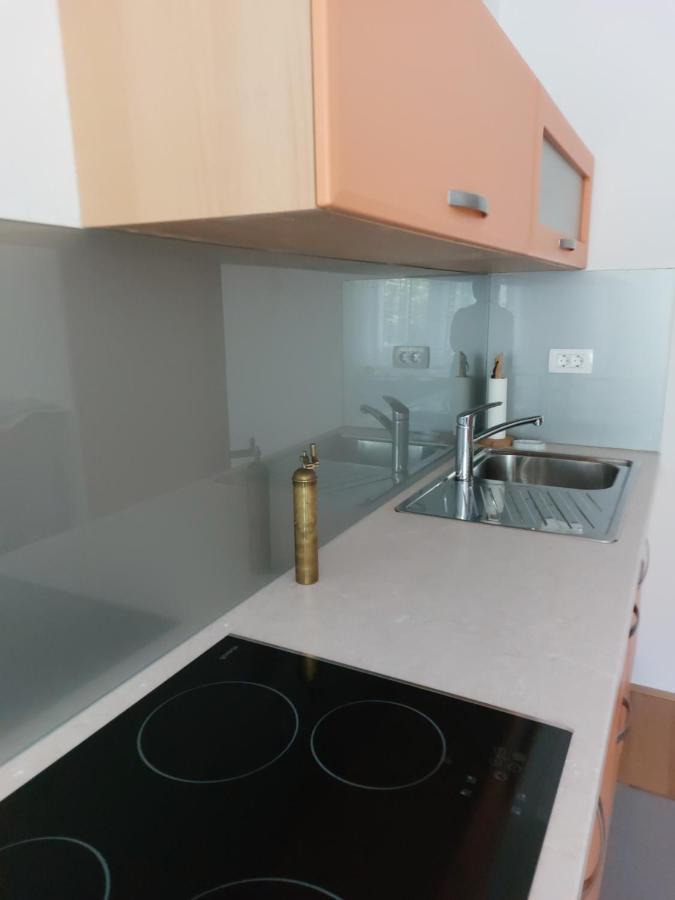 Apartma Sava-Stol ゴレンスカ地方 エクステリア 写真