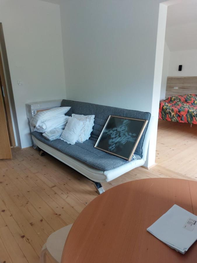 Apartma Sava-Stol ゴレンスカ地方 エクステリア 写真