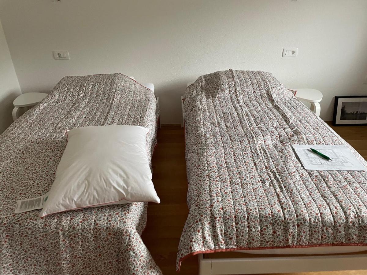 Apartma Sava-Stol ゴレンスカ地方 エクステリア 写真