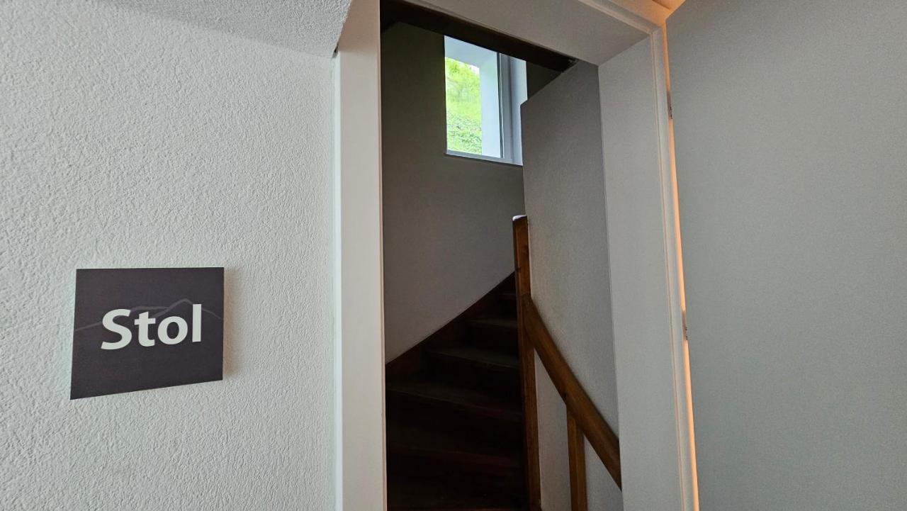 Apartma Sava-Stol ゴレンスカ地方 エクステリア 写真