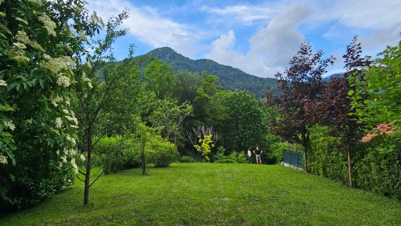 Apartma Sava-Stol ゴレンスカ地方 エクステリア 写真