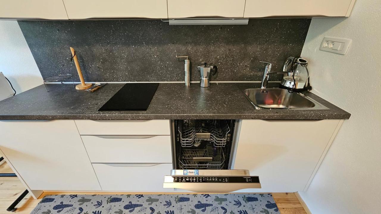Apartma Sava-Stol ゴレンスカ地方 エクステリア 写真