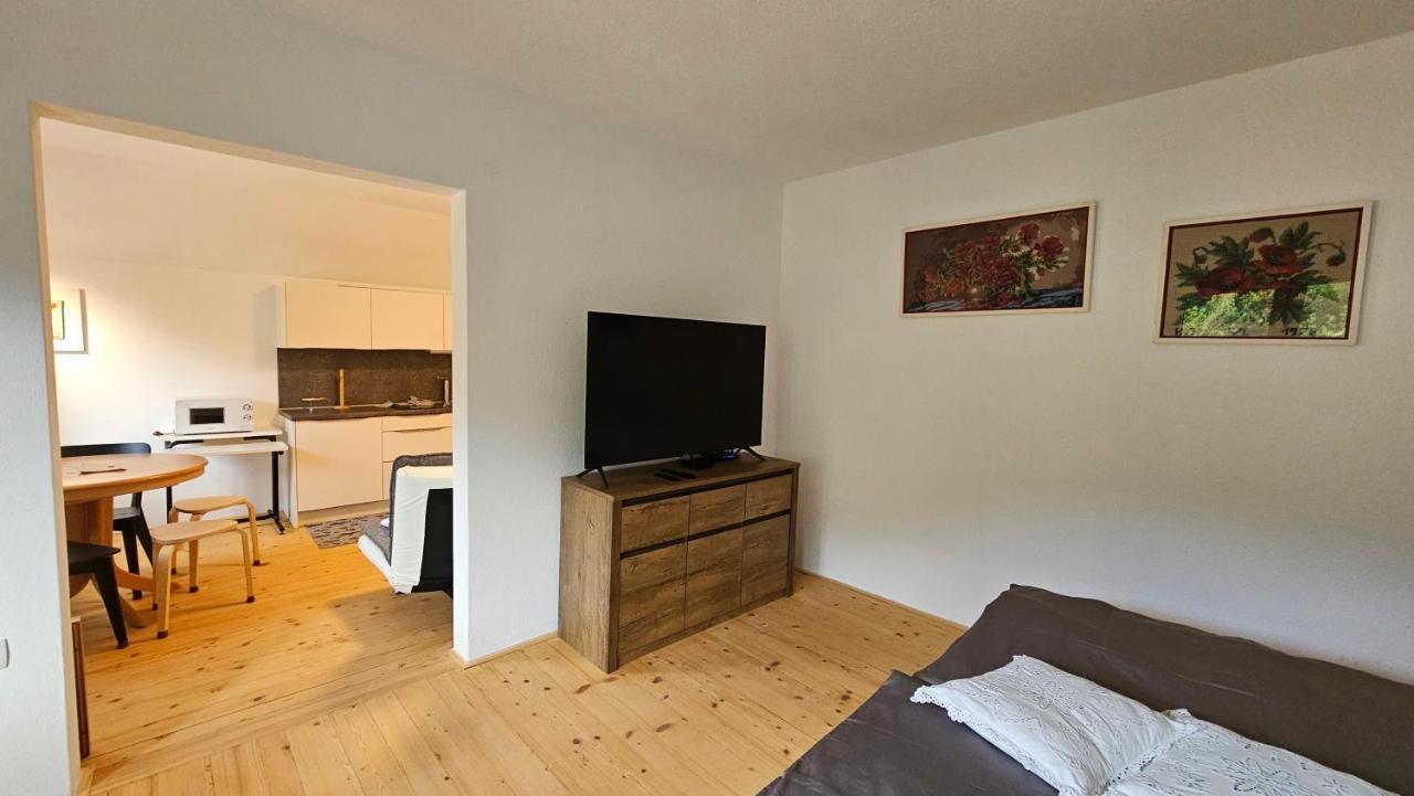 Apartma Sava-Stol ゴレンスカ地方 エクステリア 写真