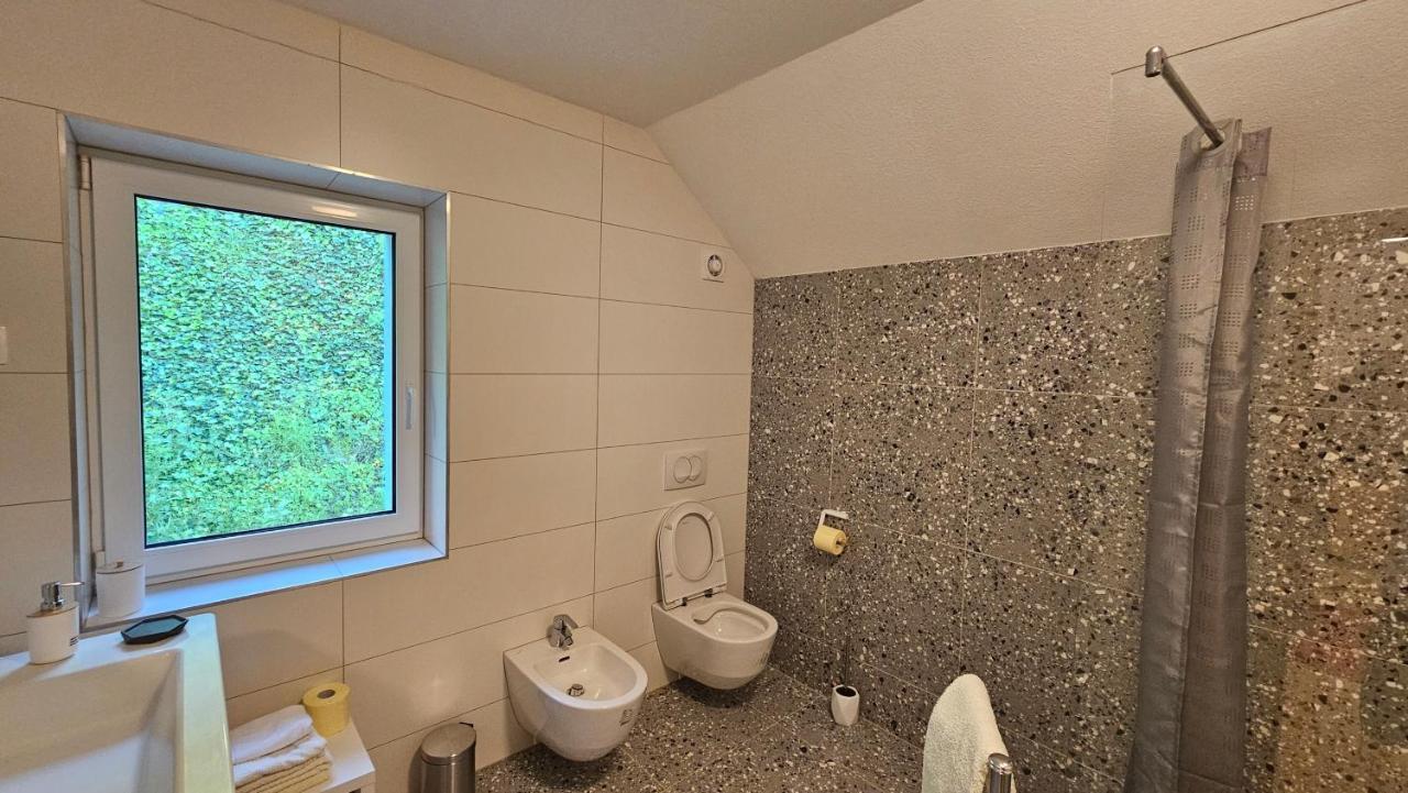 Apartma Sava-Stol ゴレンスカ地方 エクステリア 写真