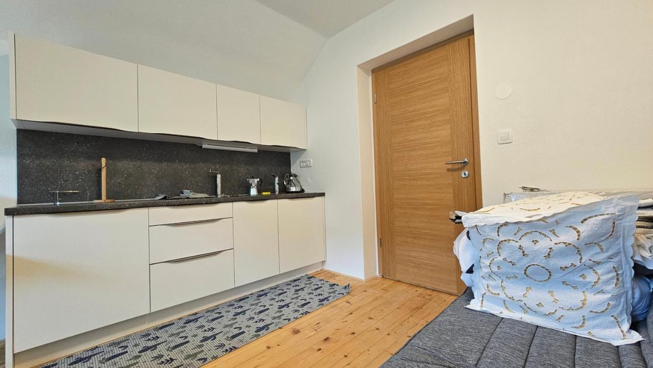 Apartma Sava-Stol ゴレンスカ地方 エクステリア 写真
