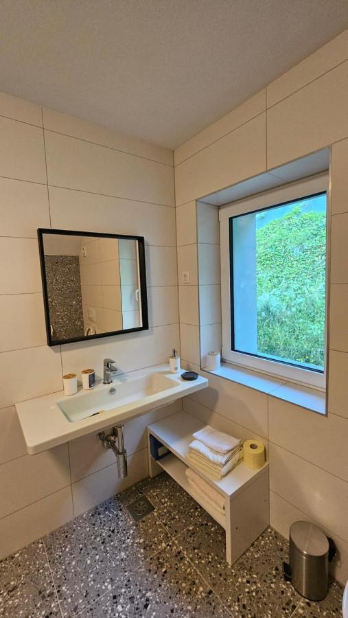 Apartma Sava-Stol ゴレンスカ地方 エクステリア 写真