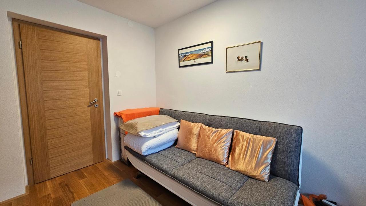 Apartma Sava-Stol ゴレンスカ地方 エクステリア 写真
