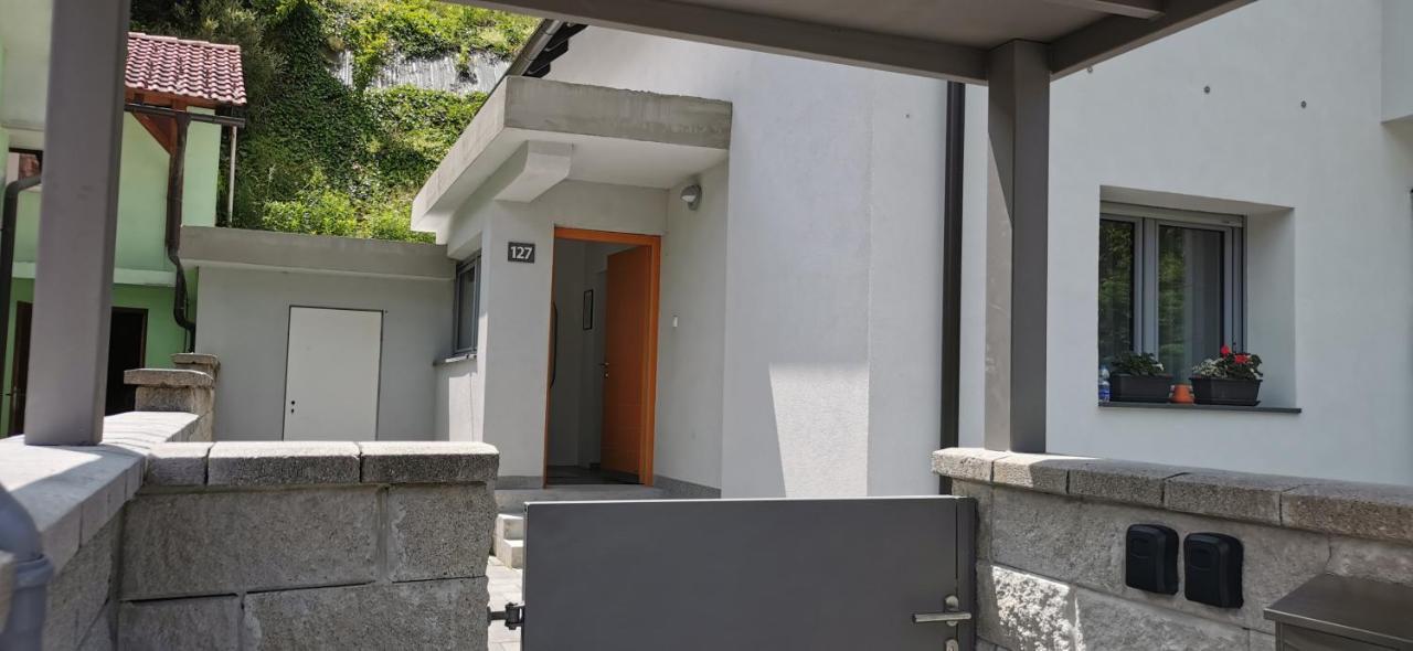 Apartma Sava-Stol ゴレンスカ地方 エクステリア 写真