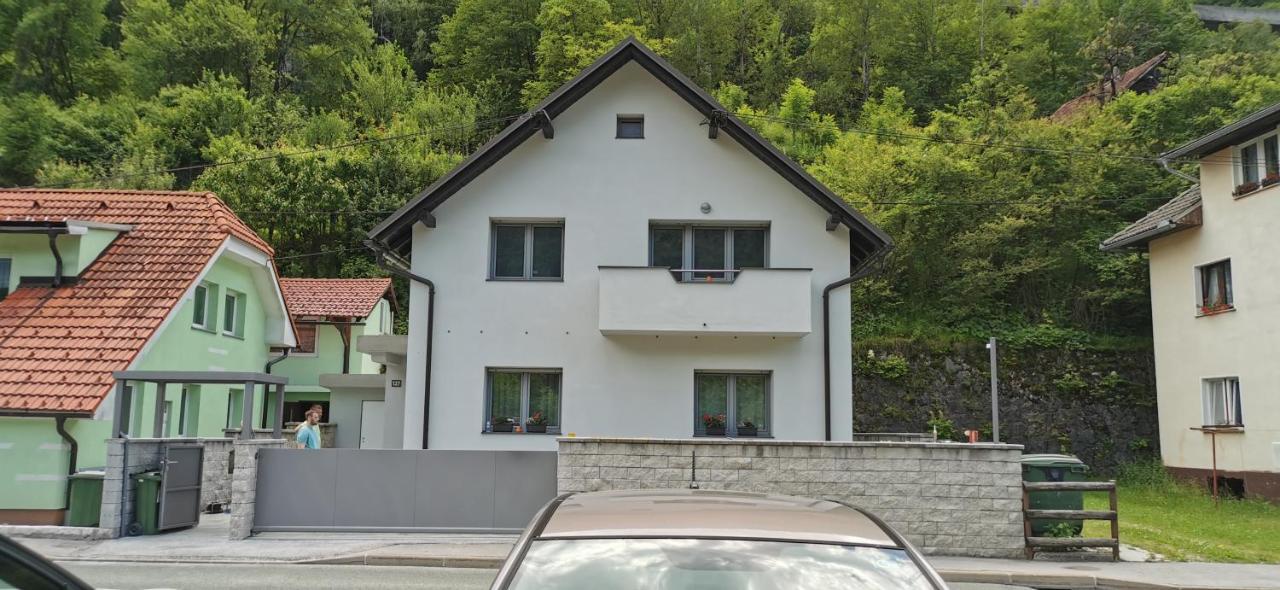 Apartma Sava-Stol ゴレンスカ地方 エクステリア 写真